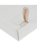 Karton-Versandtaschen 292x374mm 100 Stk. Versandkartons