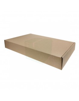 Postbox Versandkarton A4+ 315x220x48mm