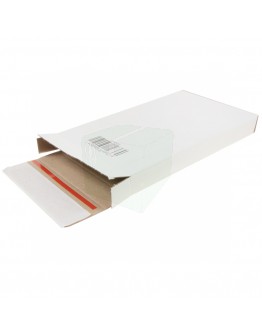 Brievenbusdoos Mailbox-1, A5 160x250x28mm EG Wit, +2x plakstrip