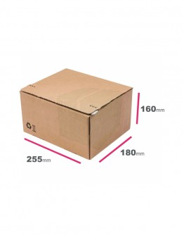 Ecomm-6 shipping box  Autolock - 255x180x160mm